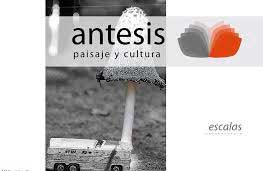 Publicación  Revista  Antesis